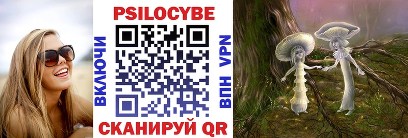 наркота мега как войти Галлюциногенные грибы Magic Shrooms Ефремов