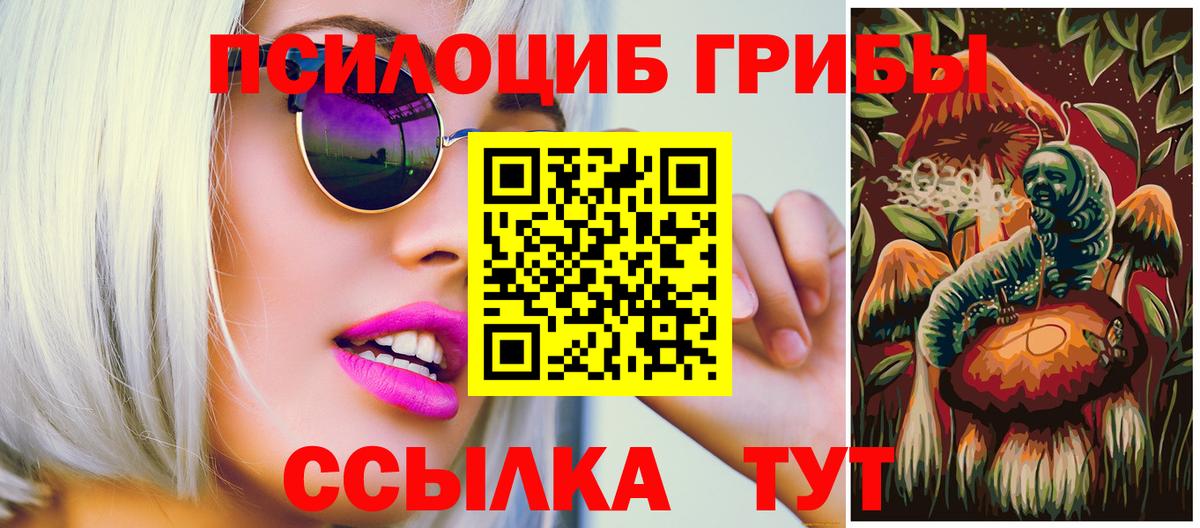 Галлюциногенные грибы Cubensis  Вход с VPN  Ефремов 